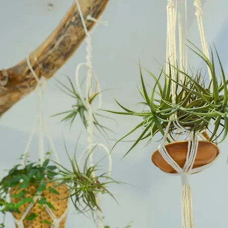 公寓 Casa Ninin 阿拉西奥