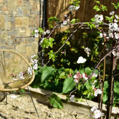 Casa Ninin * Alassio