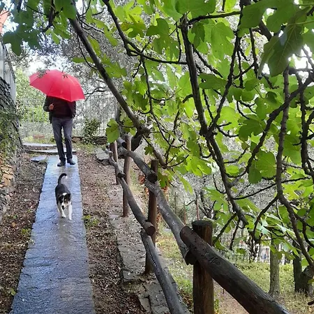 Casa Ninin * 阿拉西奥