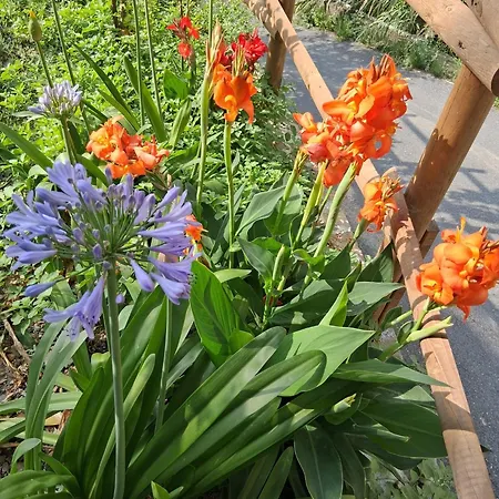 Appartement Casa Ninin Alassio