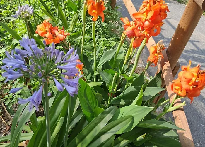 Apartamento Casa Ninin Alassio