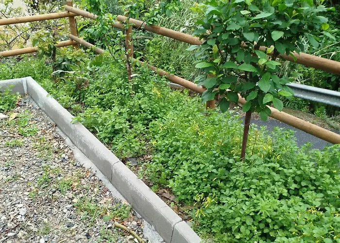 Lägenhet Casa Ninin