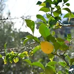 Casa Ninin 아파트 알라시오