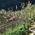 Casa Ninin Apartamento Alassio