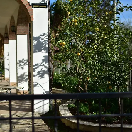 Apartment Casa Ninin