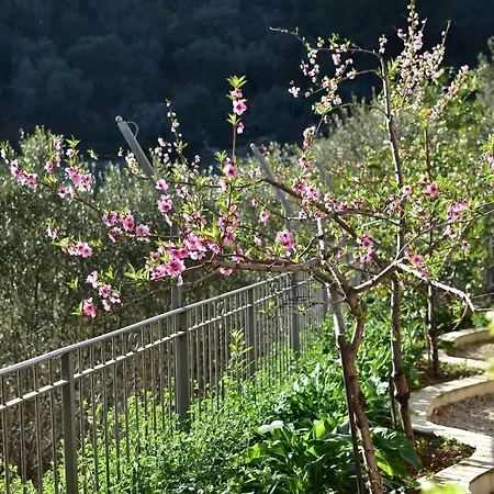 Casa Ninin דירה אלסיו