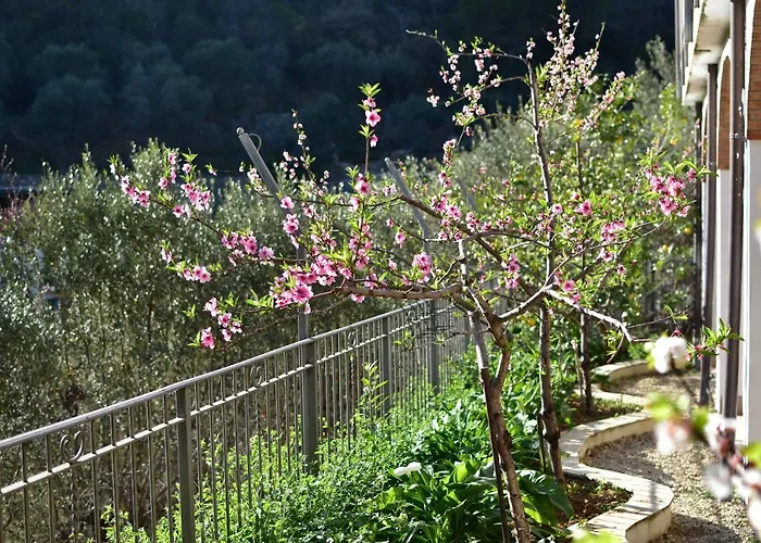 Casa Ninin Lejlighed Alassio